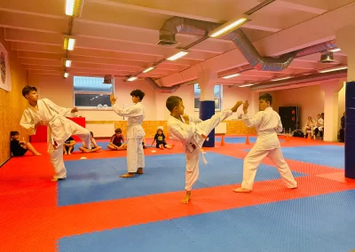karate eksāmens